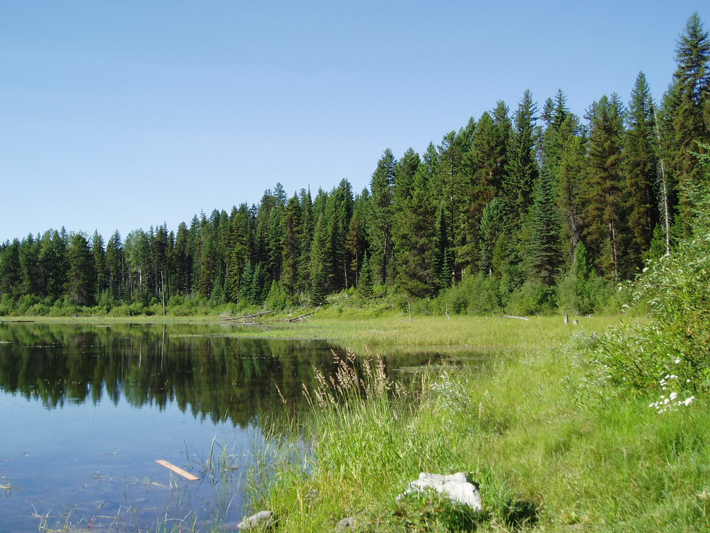 Shore of Upper Stillwater Lake, 2005 Shore of Upper Stillw… Flickr