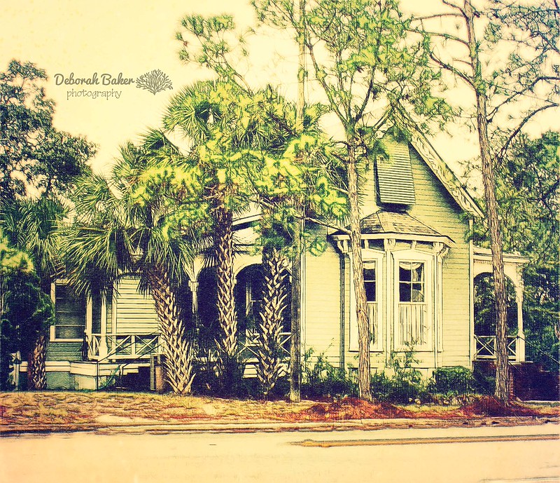 The Cedar Key Collection Flickr
