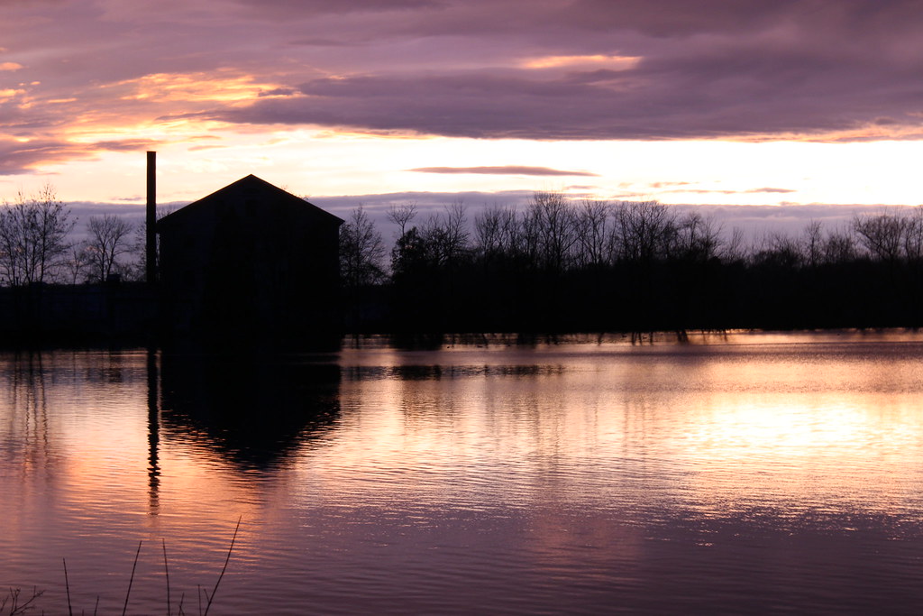 Great Gully/Union Springs NY Flickr
