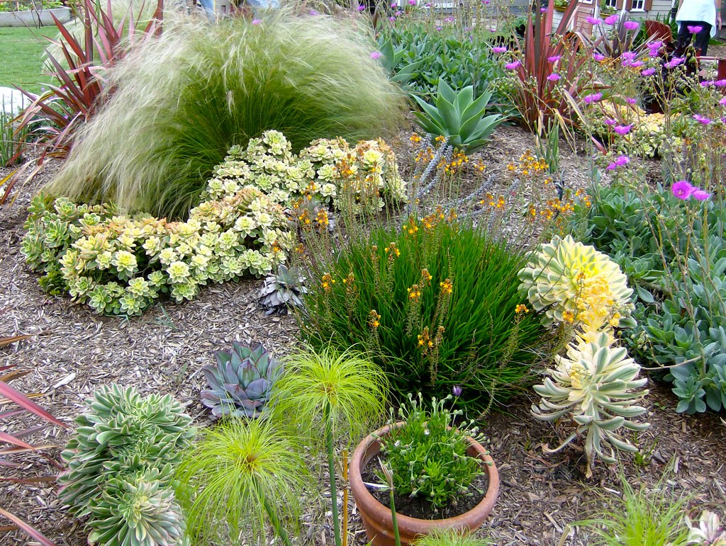 Carlsbad Garden Tour 2012 Reggie1 Flickr