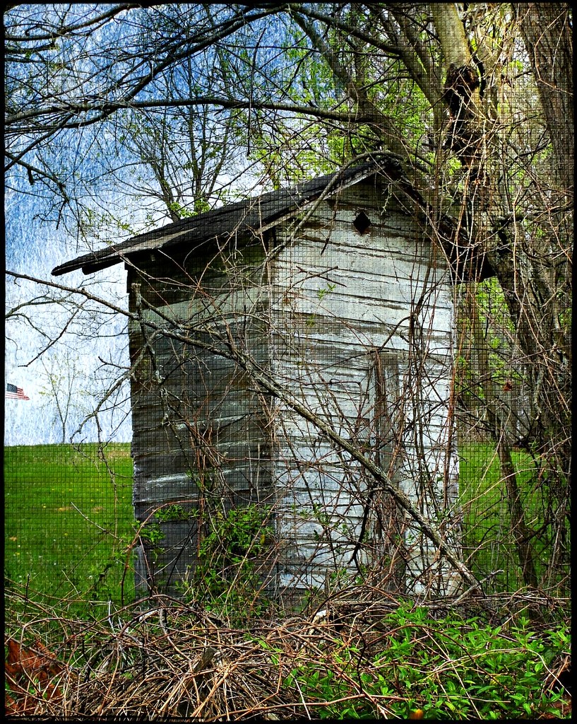Pennsylvania Lone Pine Along Dutch Glory Lane, Lone Pine… Flickr
