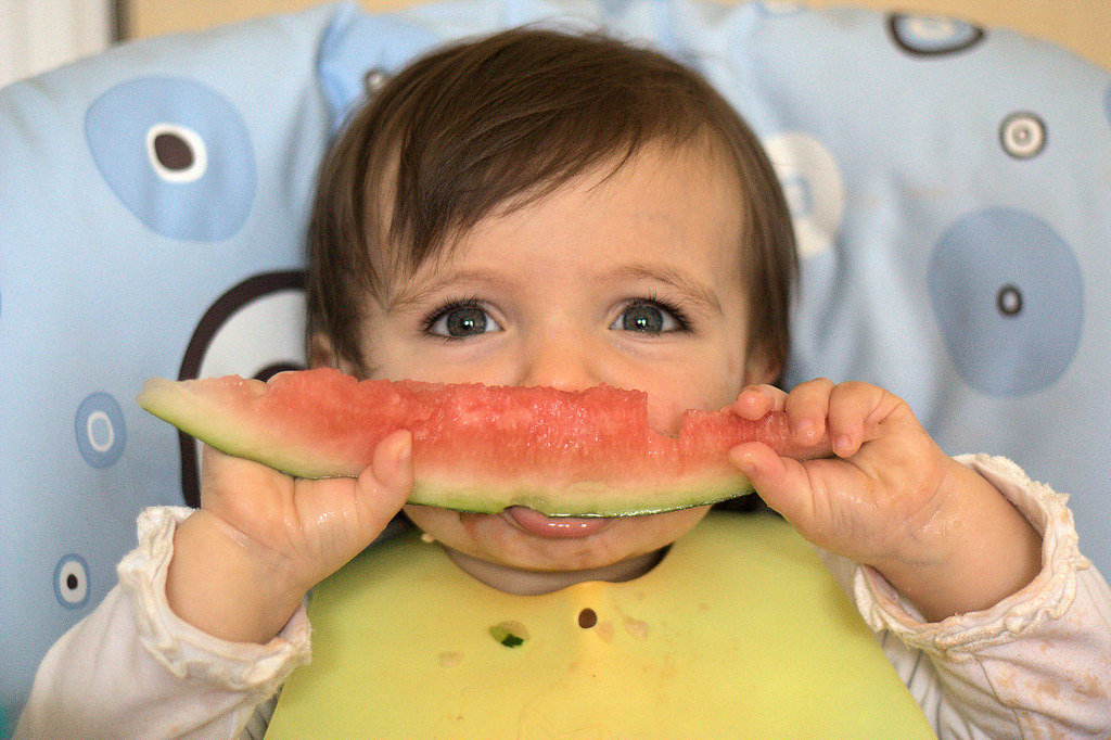 Watermelon Munching a photo on Flickriver