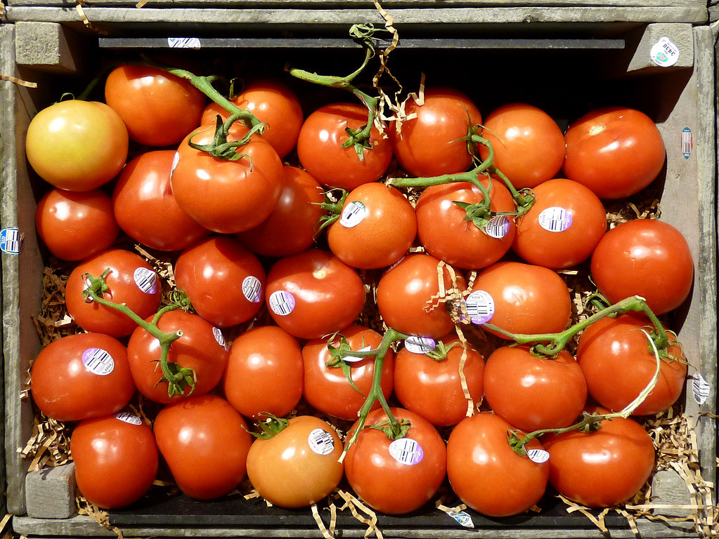 THIRTY THREE Tomatoes judy_and_ed Flickr