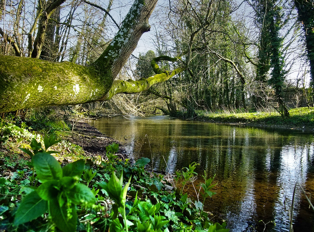 The River Test at Overton The River Test is a river in Ham… Flickr