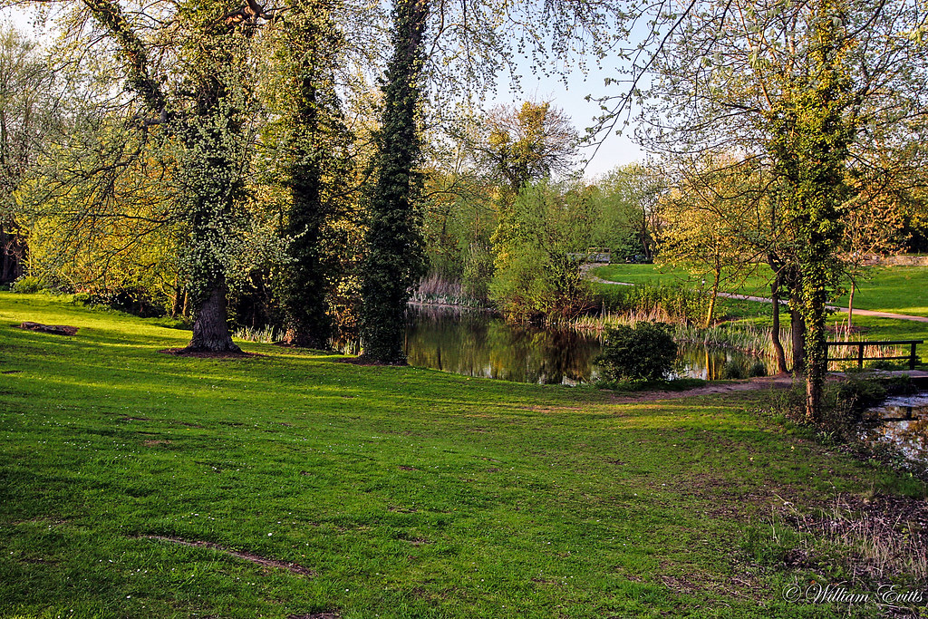 Evening Sunshine on Pond in park, Bradwell Village, Milton… Flickr