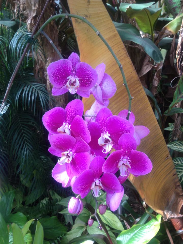 10307369_806215439398422_5517125678155396486_n Eubank Flickr