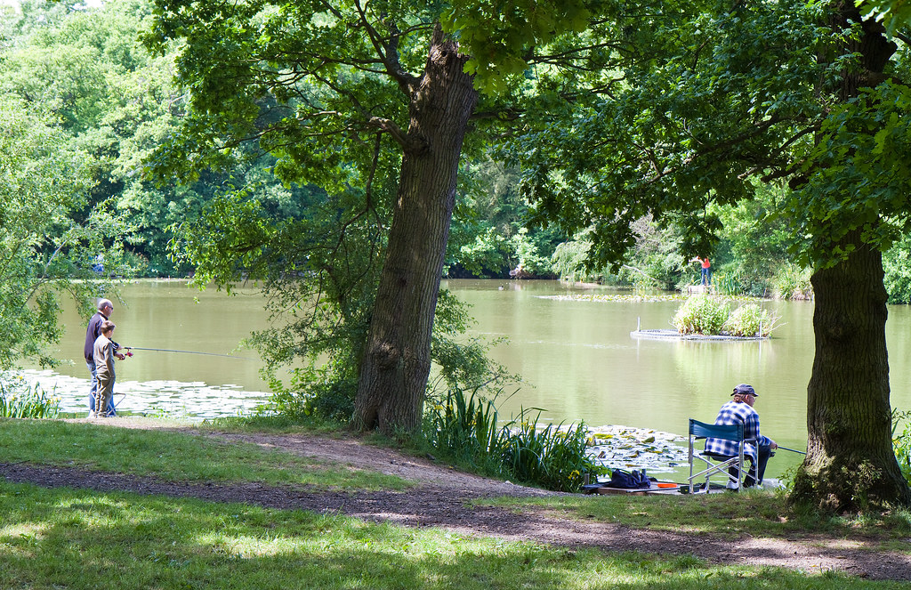 Fishing On Beech Hill Lake Martin Addison Flickr