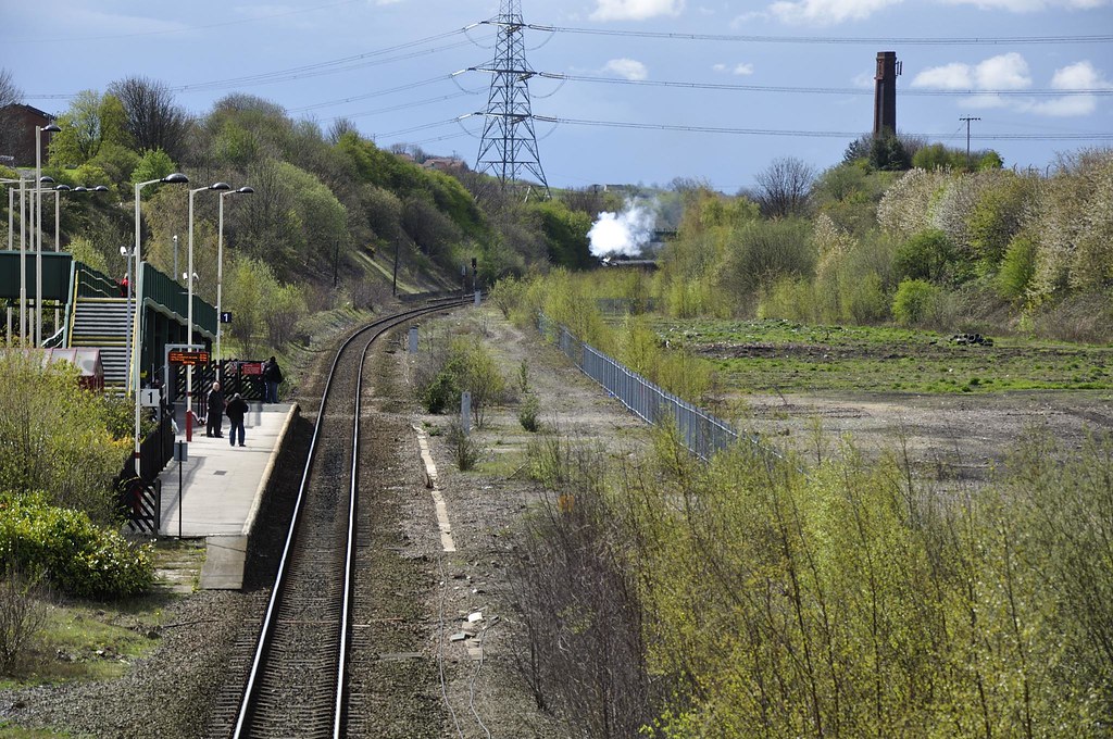 Flickriver Photoset 'The Roses Express' by rs1979