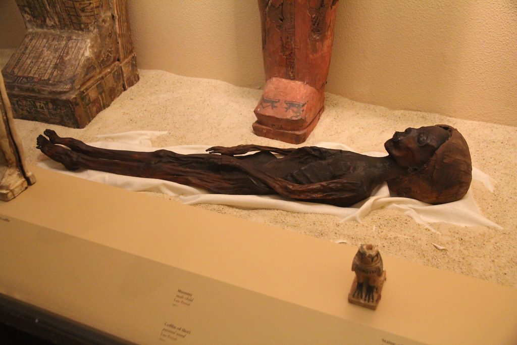 Mummy of a Child, Field Museum — Chicago, Illinois Flickr