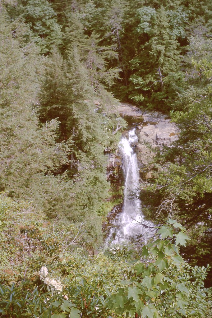 img481 Fall Creek Falls State Park Pikeville , TN May … Flickr