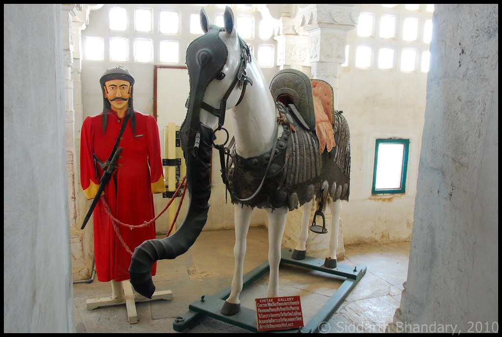 Maharana Rana Pratap's brave horse Chetak en.wikipedia.o… Flickr