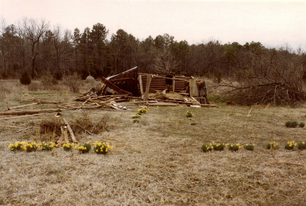 Greers Ferry Lake AR tornado damage, March 1984 05 Flickr