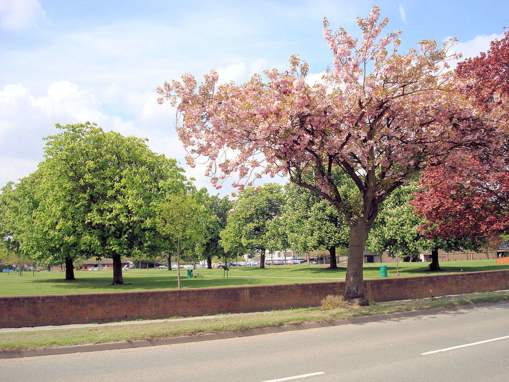 Little Aston Road, Aldridge 2010 Cicero22 Flickr