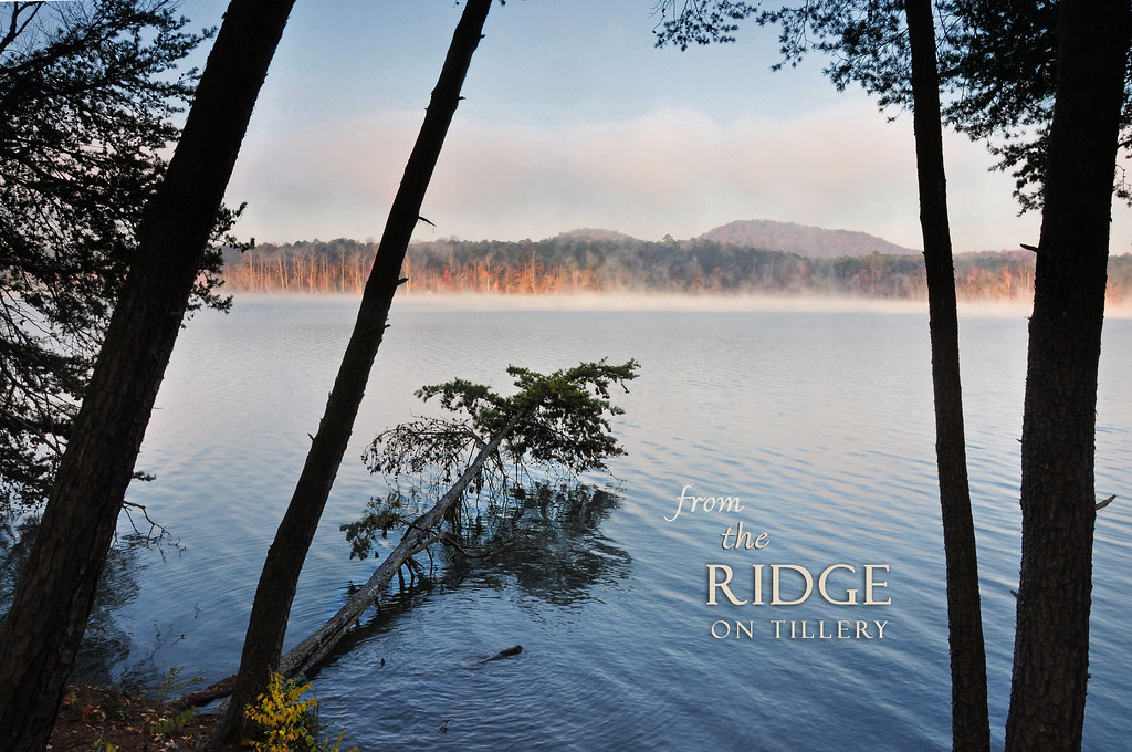 Lake Tillery_11821 eTEXT Morrow Mountain State Park shorel… Flickr