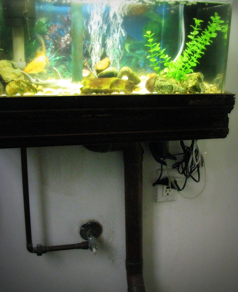 fish tank in odd place This is the toilet tank in the upst… Flickr