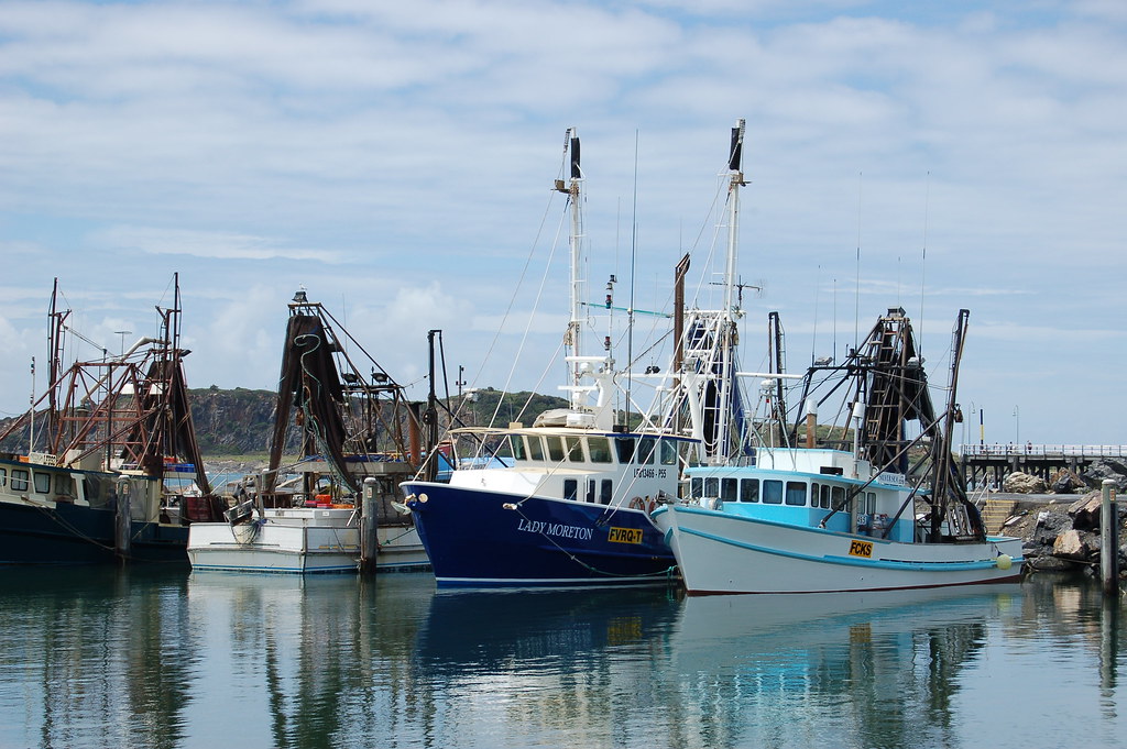 Coffs Harbour fishing boats Carolyn King Flickr