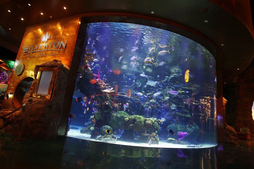 Las Vegas Aquarium Silverton Casino Hotel Named the "Bes… Flickr