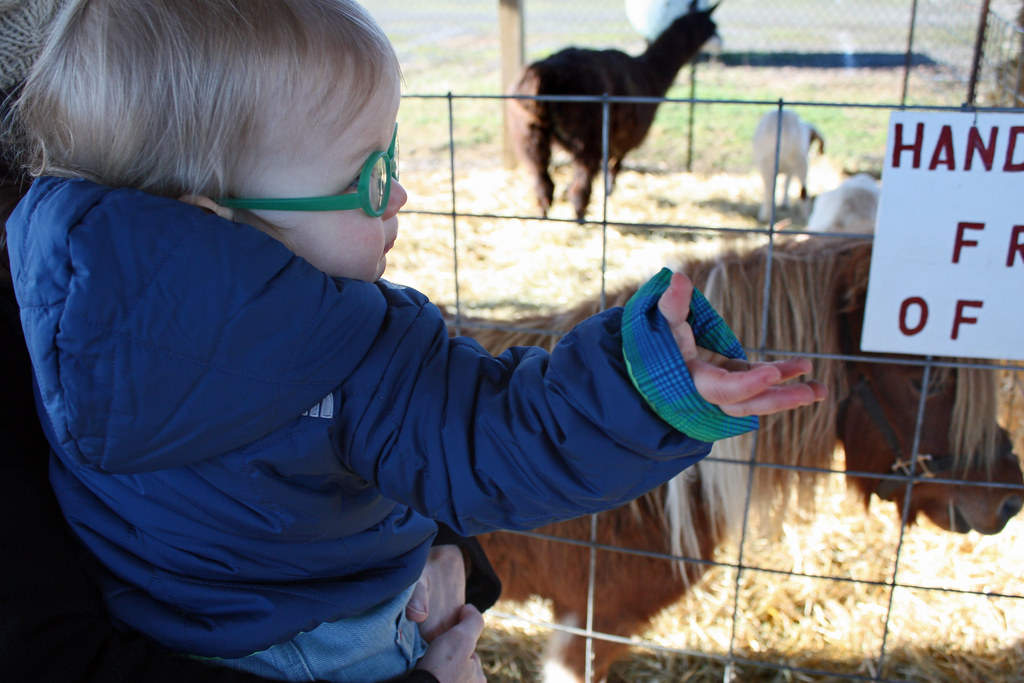 Christmas tree hunt. Thorton's Treeland. Vancouver Washing… Flickr