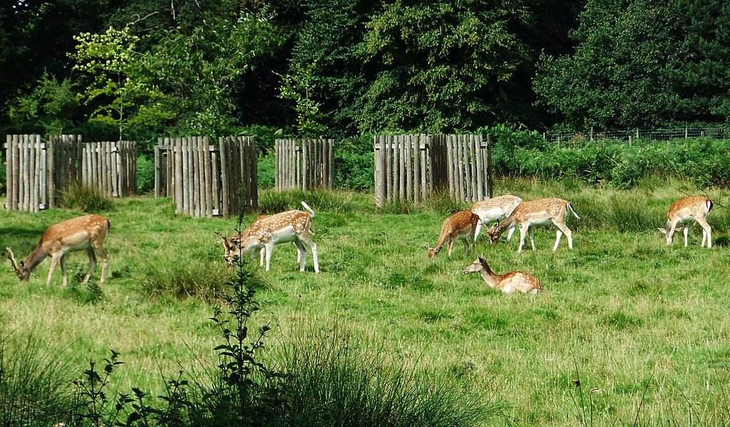 visit to dunham massey nick.gough Flickr