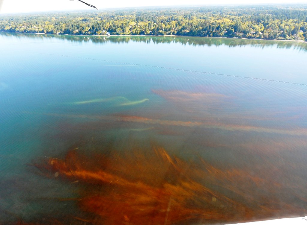 Eyes Over Puget Sound Sept. 26, 2016 The view from the air… Flickr