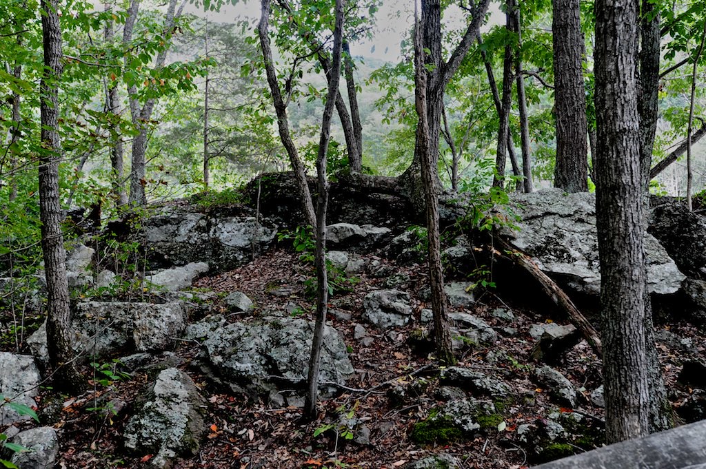 Elevation of New River Rd, Hinton, WV, USA Topographic Map Altitude Map