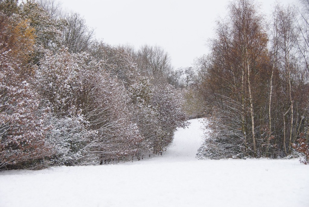 Colchester Snow 021210 Deep snow in Colchester again. Very… Flickr