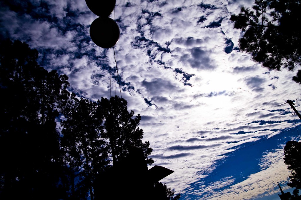 Brant Family Farm 31 For a story to be posted today, watch… Flickr