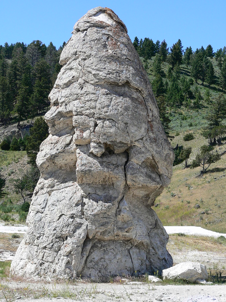 Salt Pillar Yellowstone Park Wyoming Salt Pillar Yellowsto… Flickr
