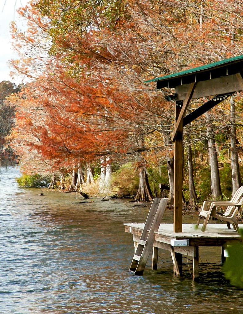 the bay Cotile Lake 30 miles west of Alexandria. Gary Jones Flickr