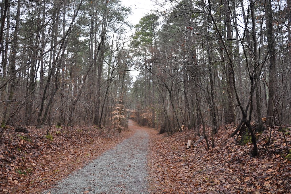 Duke Forest Trail I 044 Duke Forest Trail balakc Flickr