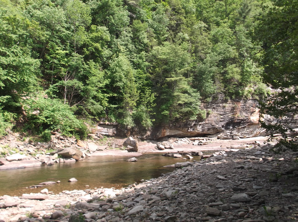 Loyalsock Creek YouTuber Flickr
