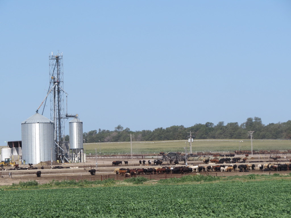 Nebraska Phelps County Flickr