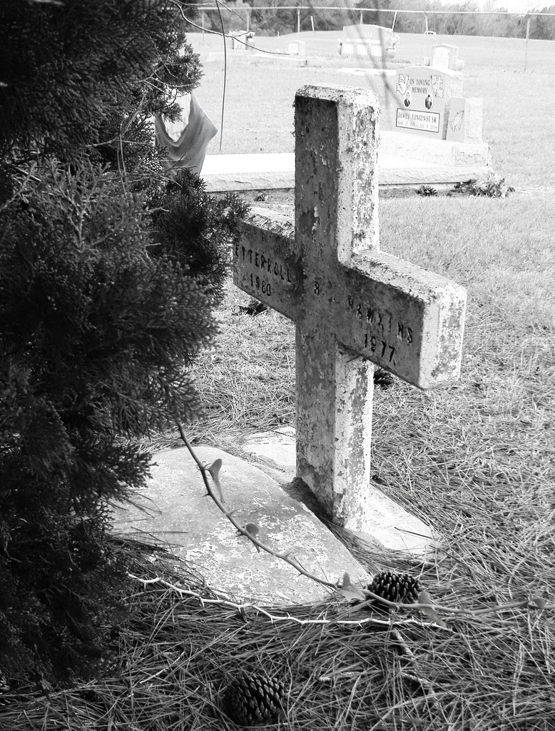 Prairie View Cemetery, Waller County, Texas 1125101208BW Flickr