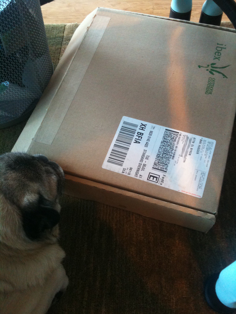 Cappy hearts iBex The smell of wool maybe had her interest… Flickr