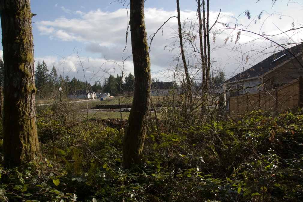Olympia Grass Lake Refuge visit to the park Robert F. W. Whitlock