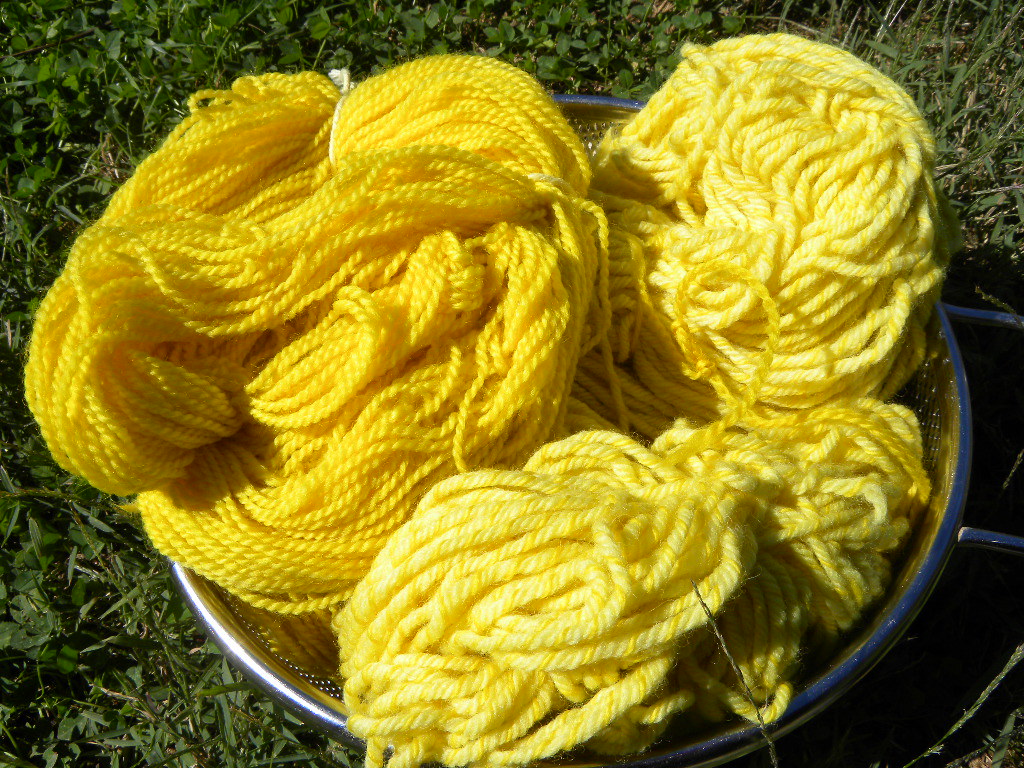 Goldenrod Yarn Henry's Attic yarn dyed with goldenrod MadKnits Flickr