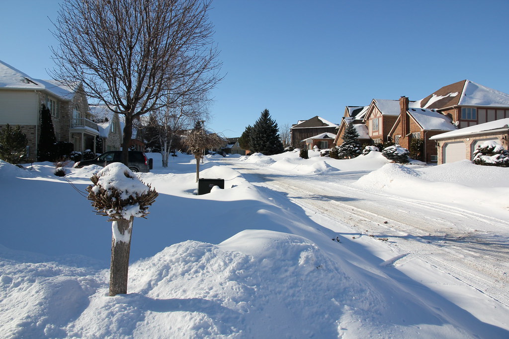 IMG_0067 Thirlmere Rd, London bridge2757 Flickr