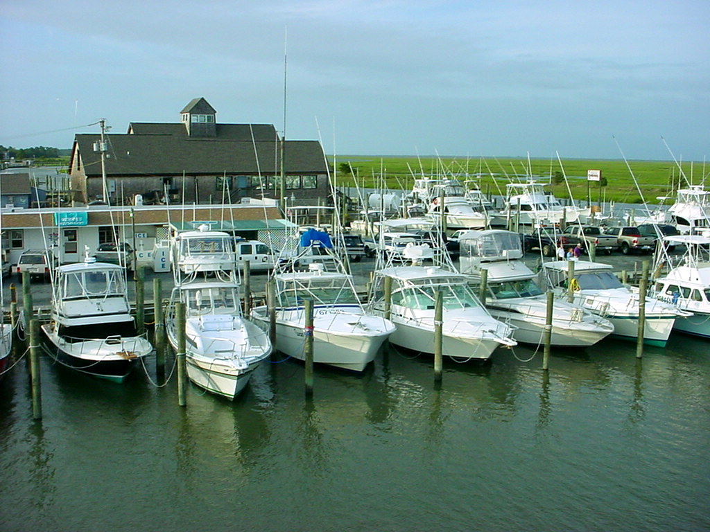 Wachapreague Marina ESVA Tourism Flickr