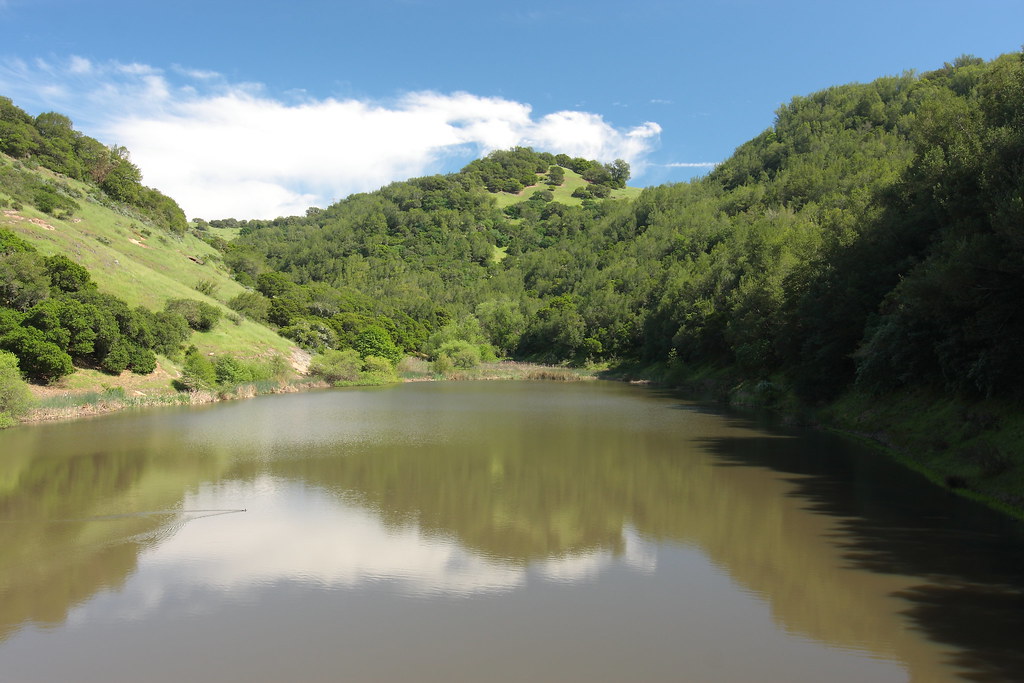 IMG_9701_RAB Skyline Wilderness Park, Napa Rich Flickr