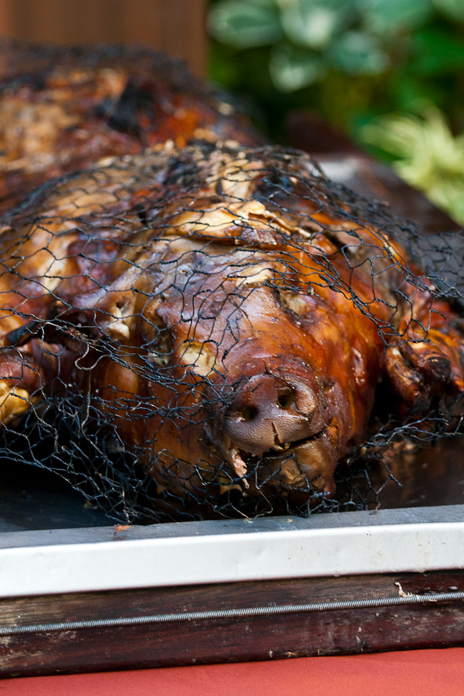 Luau Pig Kalua is the name of the cooking method tradition… Flickr