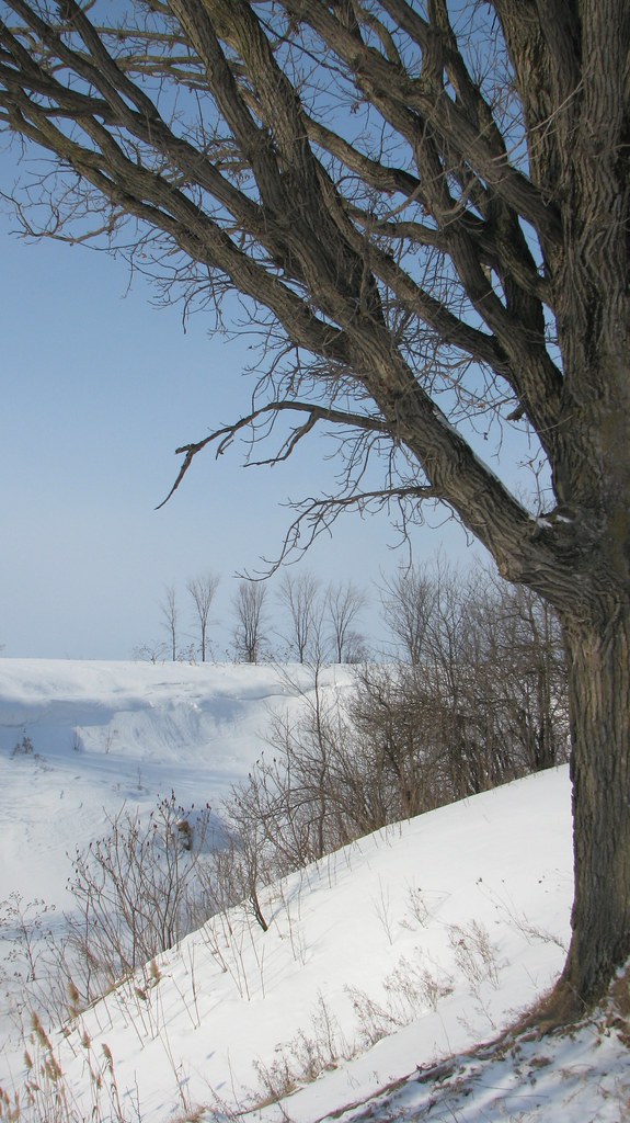 Vallée creusée par le ruisseau Rainville, SaintBarnabéSu… Flickr