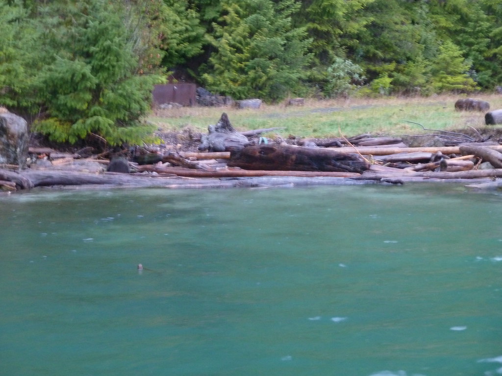 Cypress Island NRCAEagle Harbor Landing CloseupStan Kuro… Flickr