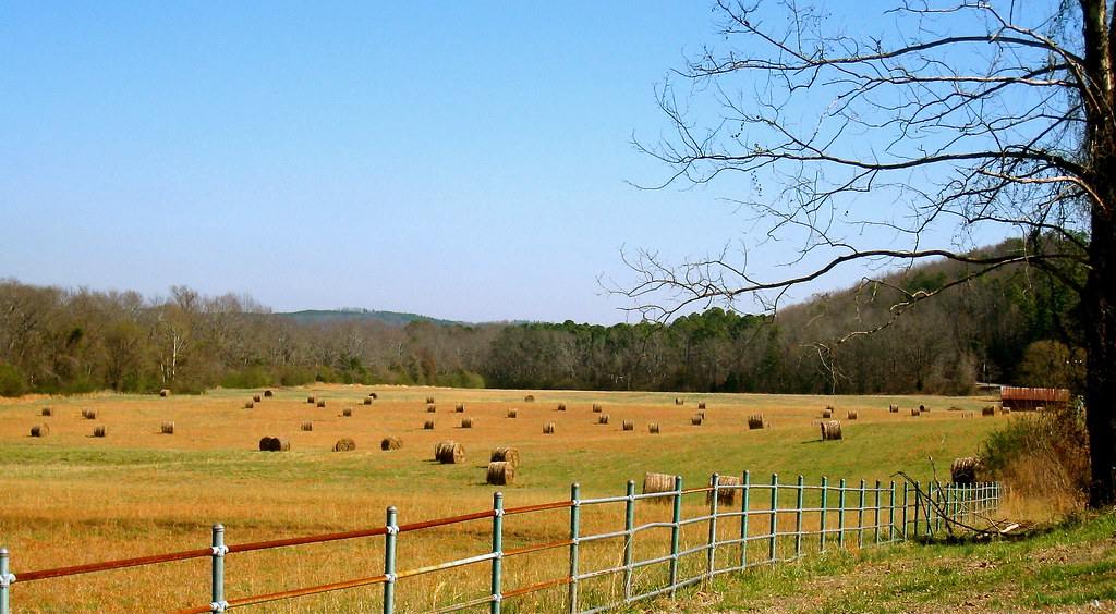 Hay Field Pastoral hay field, Riverton Rose Trail, Colbert… Flickr