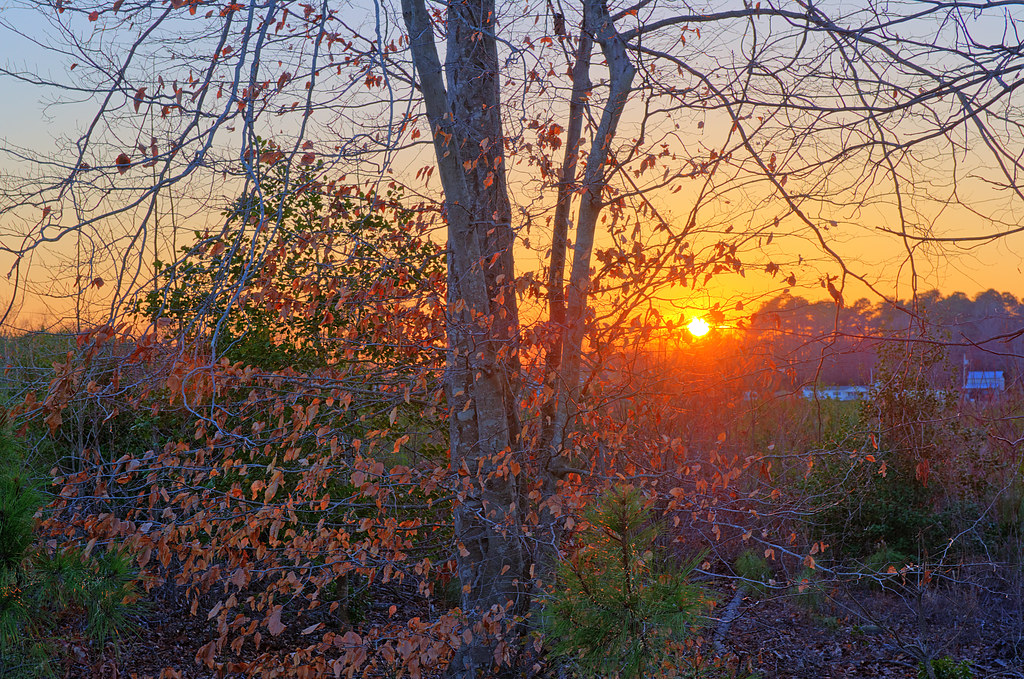 Elevation of Jeffreys Rd, Rocky Mount, NC, USA Topographic Map