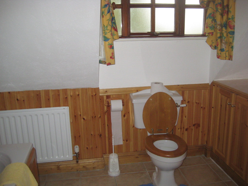 Ireland Pictures 34 and 35 071 My toilet kenblair742011 Flickr