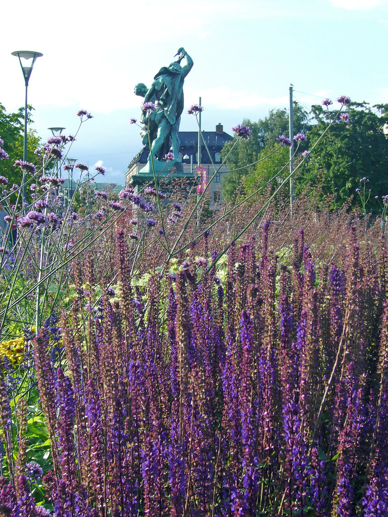 Gothenburg Flowers Kirk & Barb Nelson Flickr