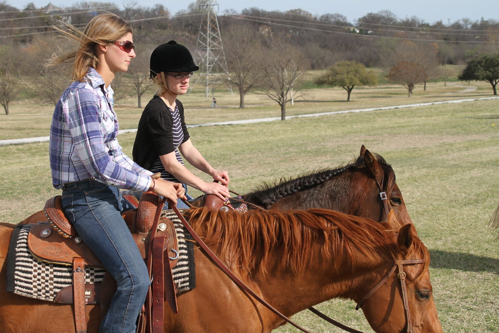 RM Performance Horses Texas A week spent with Maddy and … Flickr