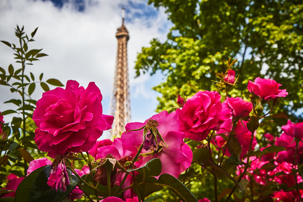City of lovers Paris 2015 Taverner Flickr