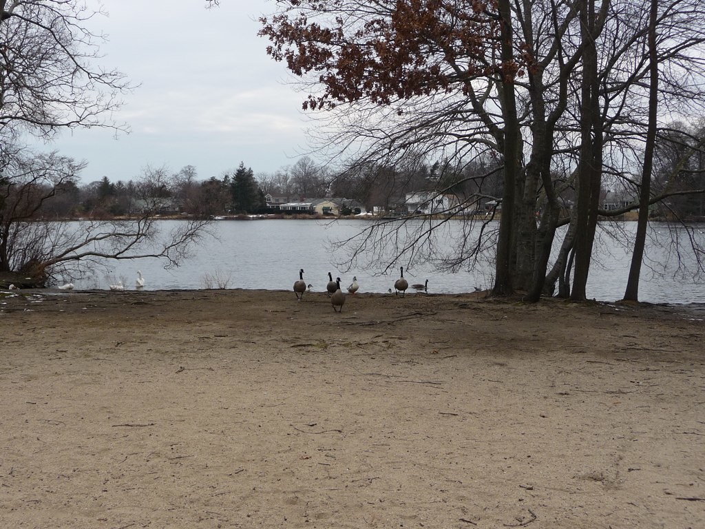 Knapp Lake Indiana Fishing at Catherine Nettles blog