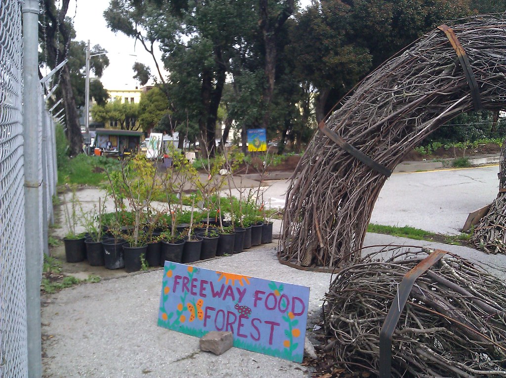 Freeway Food Forest at Hayes Valley Farm Visit Hayes Valle… Flickr